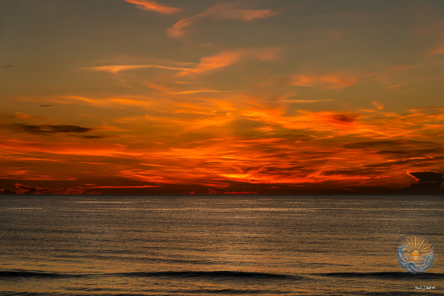 July 7, 2026 | Playalinda Beach, Florida