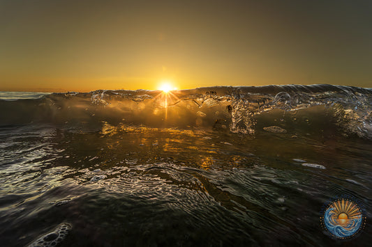 June 11, 2026 | Playalinda Beach, Florida