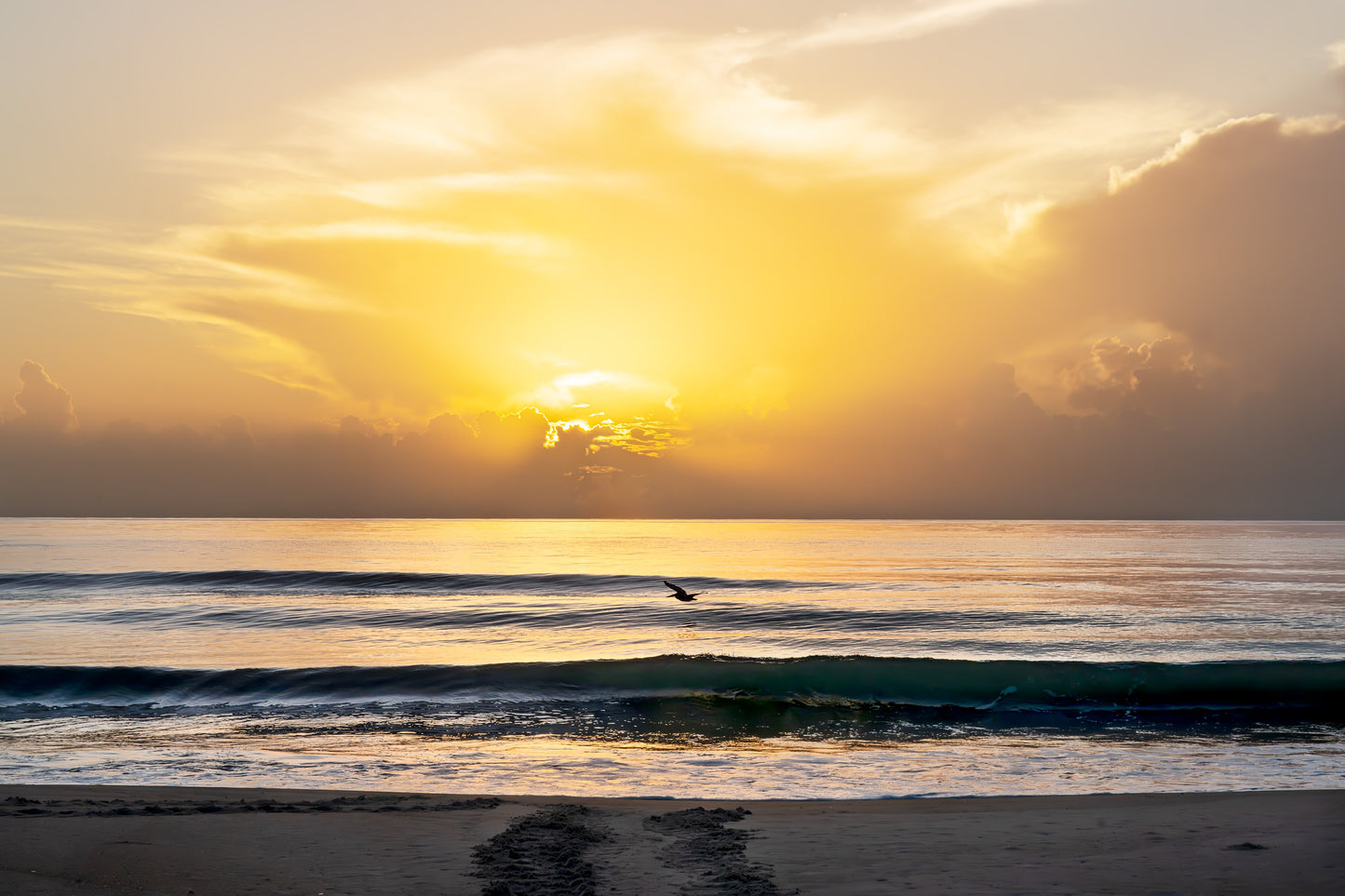 June 28, 2026 | Playalinda Beach, Florida