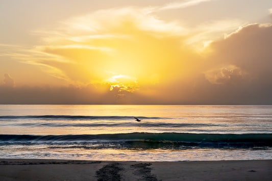 June 28, 2026 | Playalinda Beach, Florida