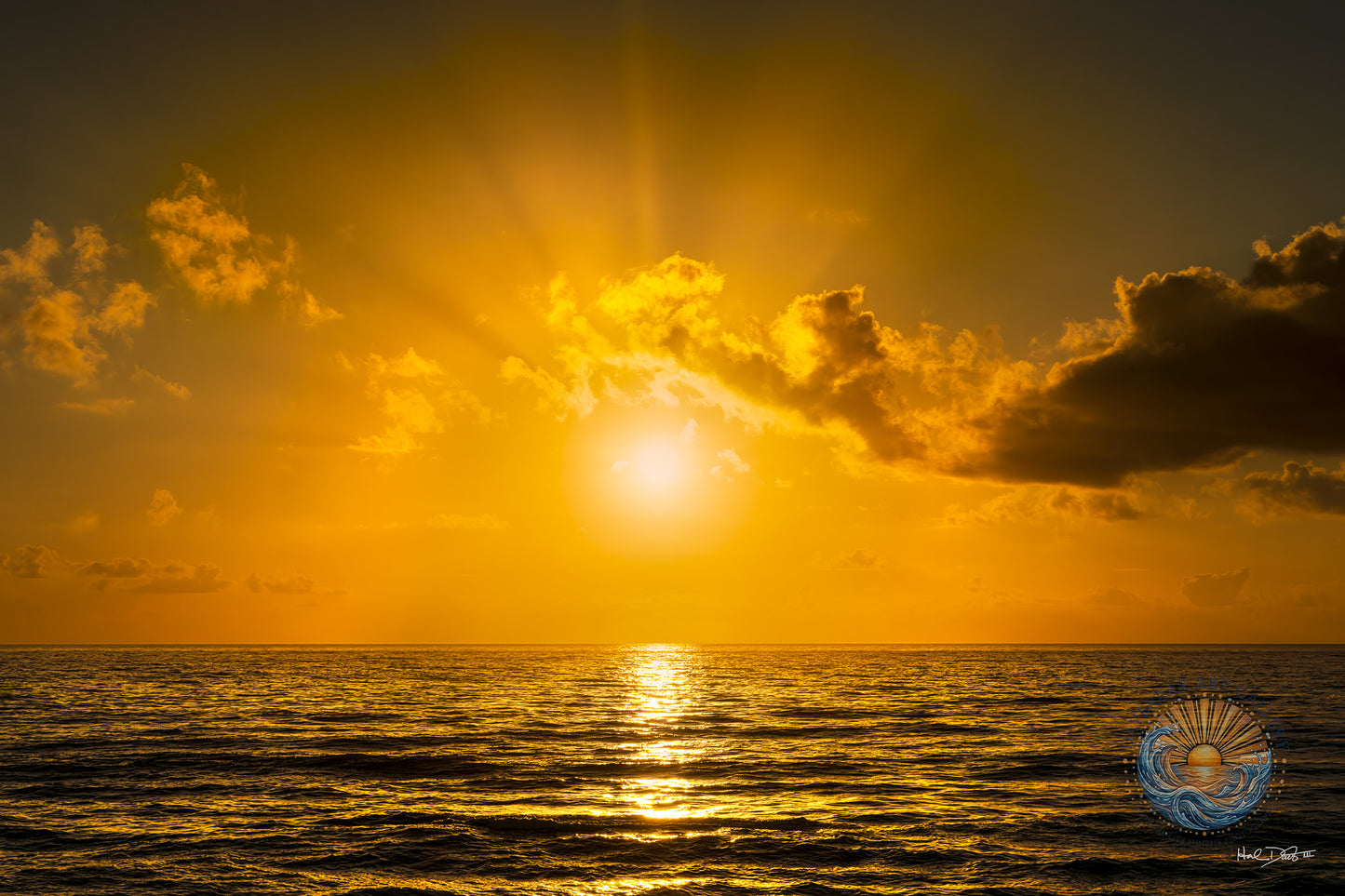 July 1, 2026 | Playalinda Beach, Florida