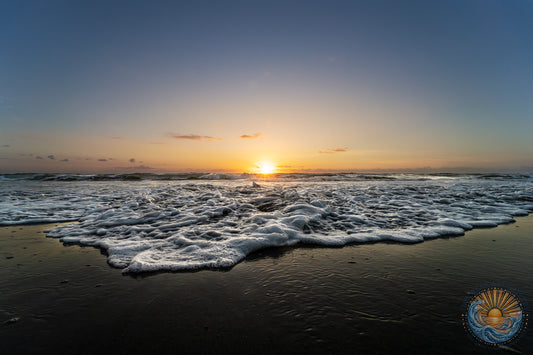 July 2, 2026 | Playalinda Beach, Florida