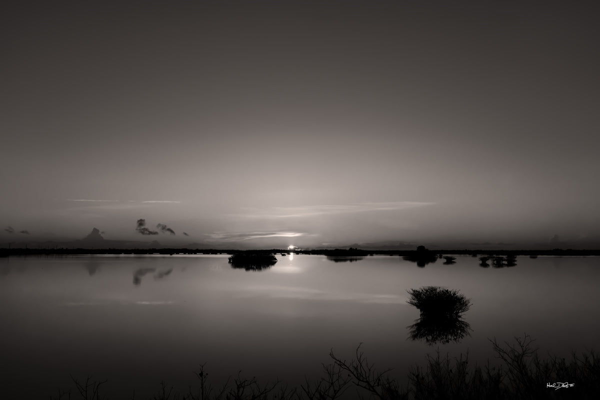 Black and white sunrise over Merritt Island Wildlife Refuge, Florida, July 3, 2026 — a calm waterway lined with silhouetted mangroves and reflections on the water