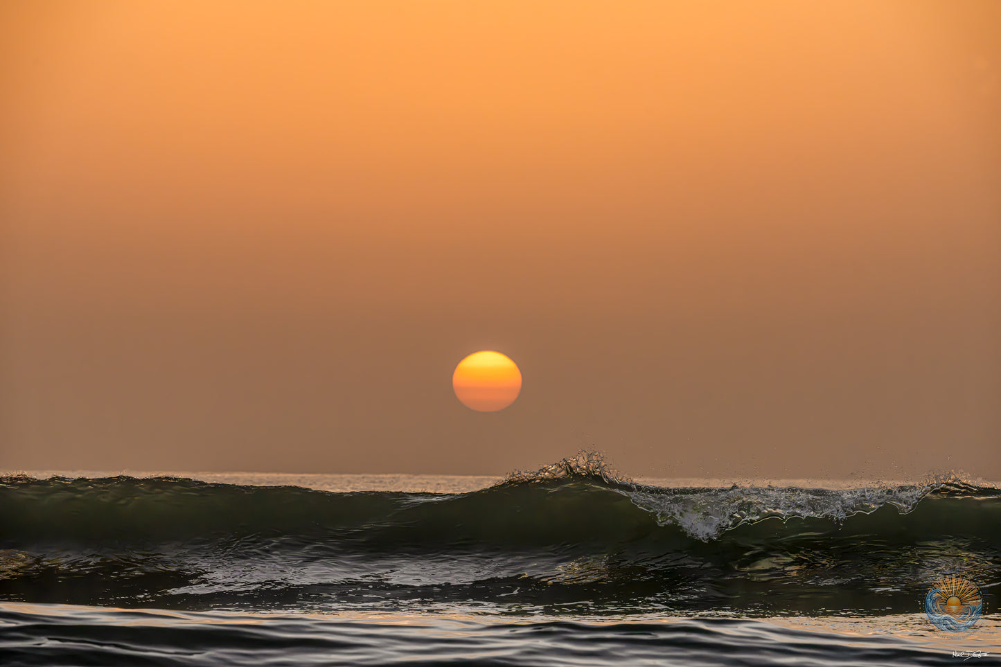July 9, 2026 | Playalinda Beach, Florida