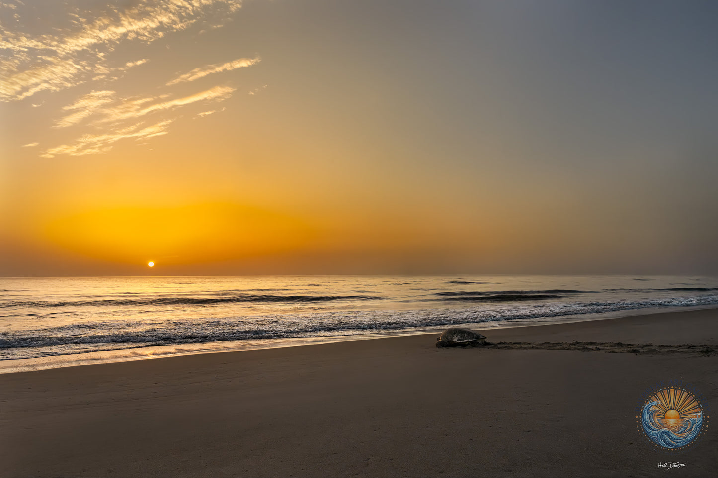 July 10, 2026 | Playalinda Beach, Florida