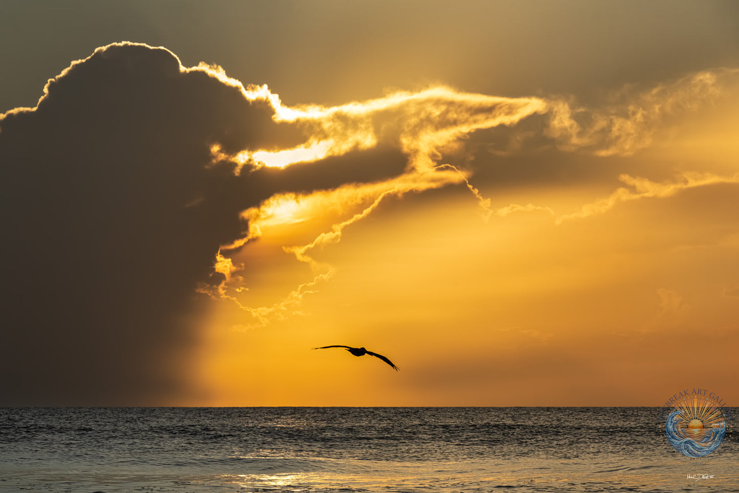July 11, 2026 | Playalinda Beach, Florida