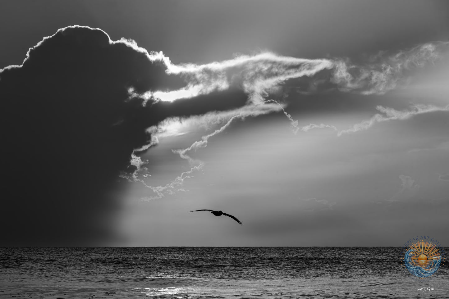 July 11, 2026 | Playalinda Beach, Florida