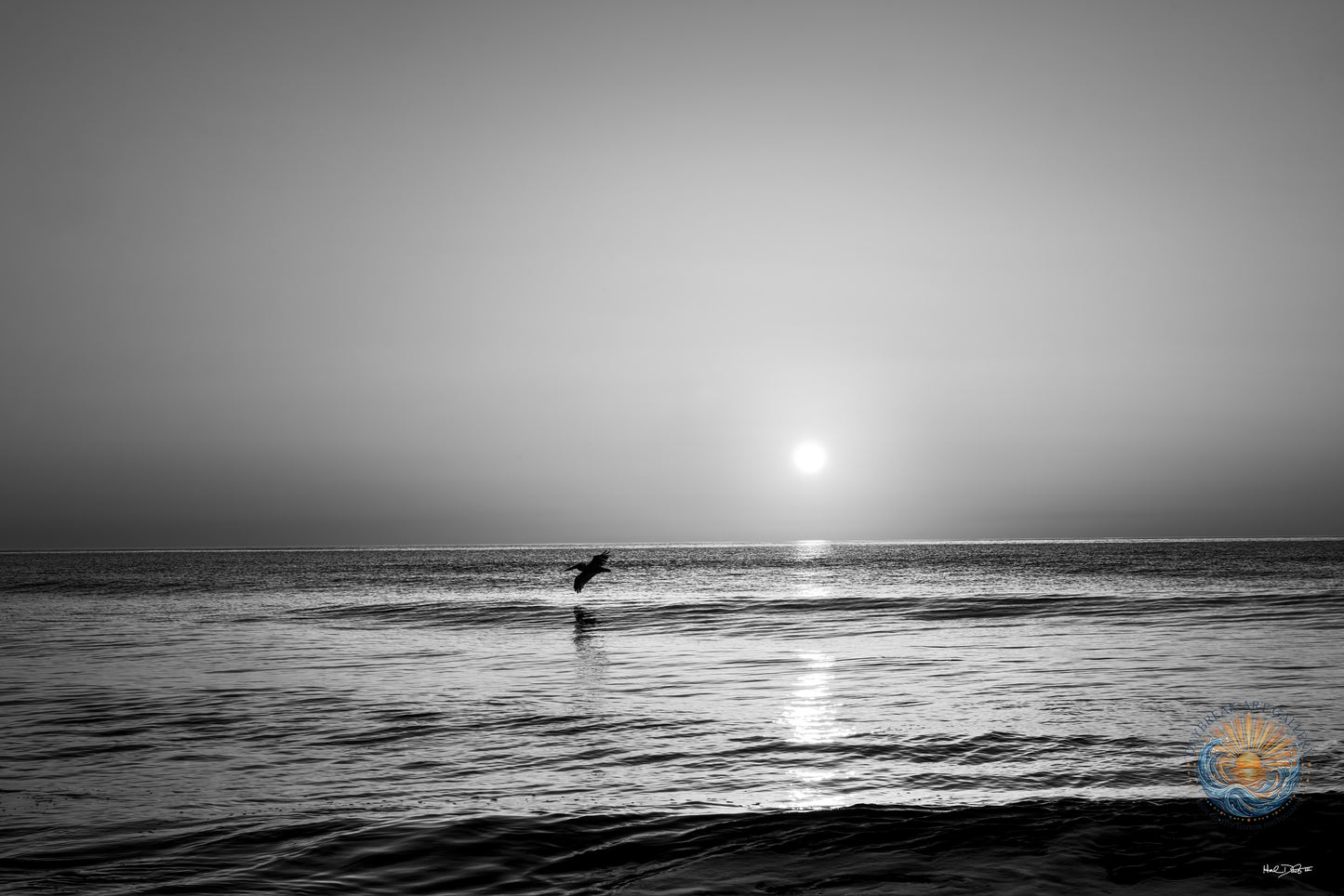 July 12, 2026 | Playalinda Beach, Florida