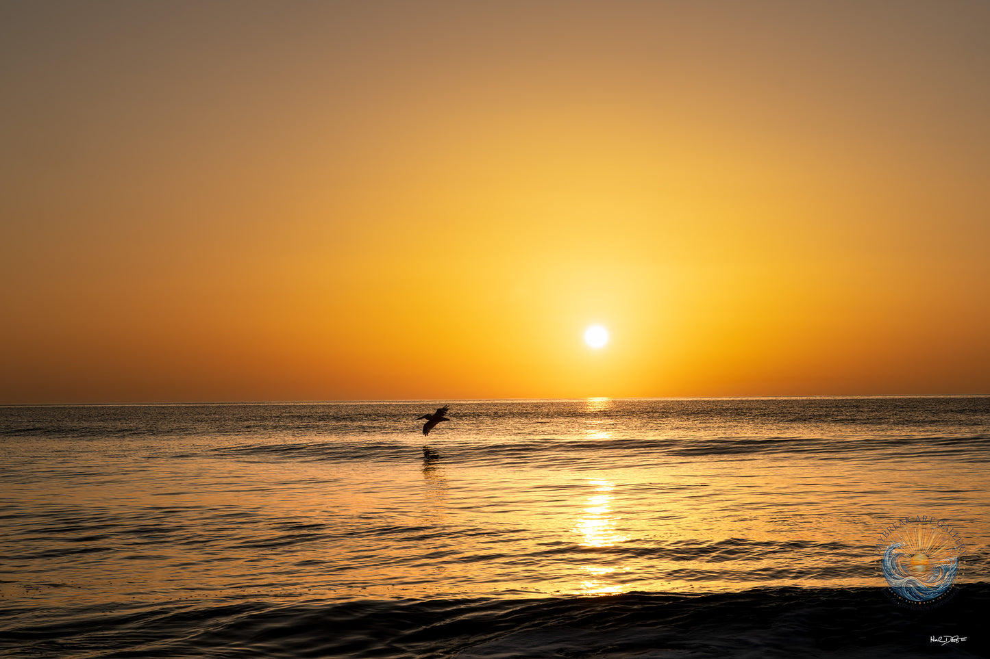 July 12, 2026 | Playalinda Beach, Florida