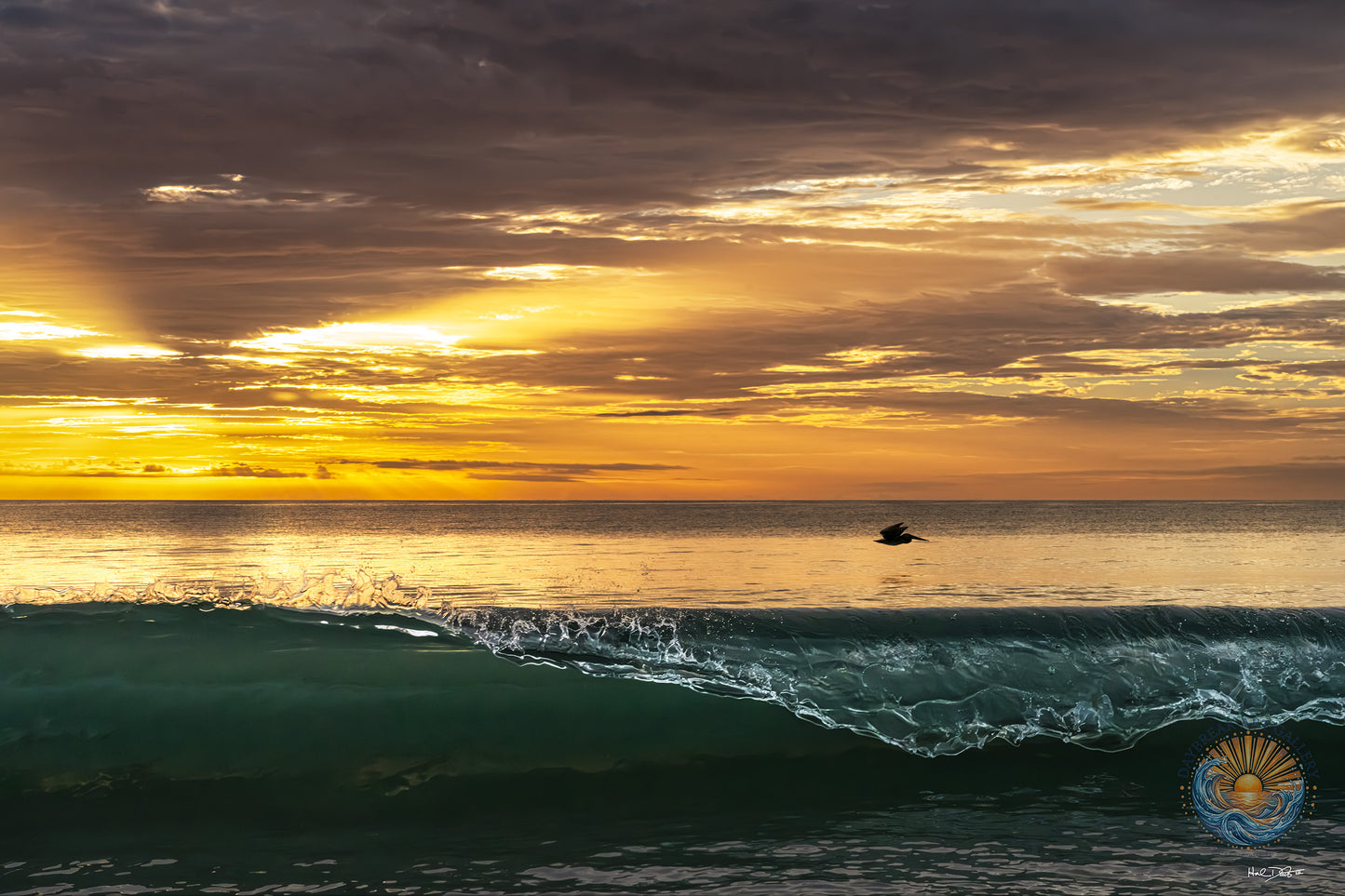 July 13, 2026 | Playalinda Beach, Florida