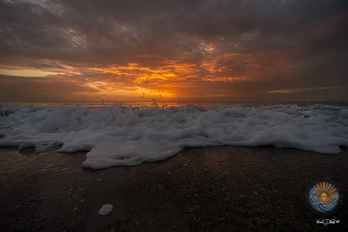 July 14, 2026 | Playalinda Beach, Florida