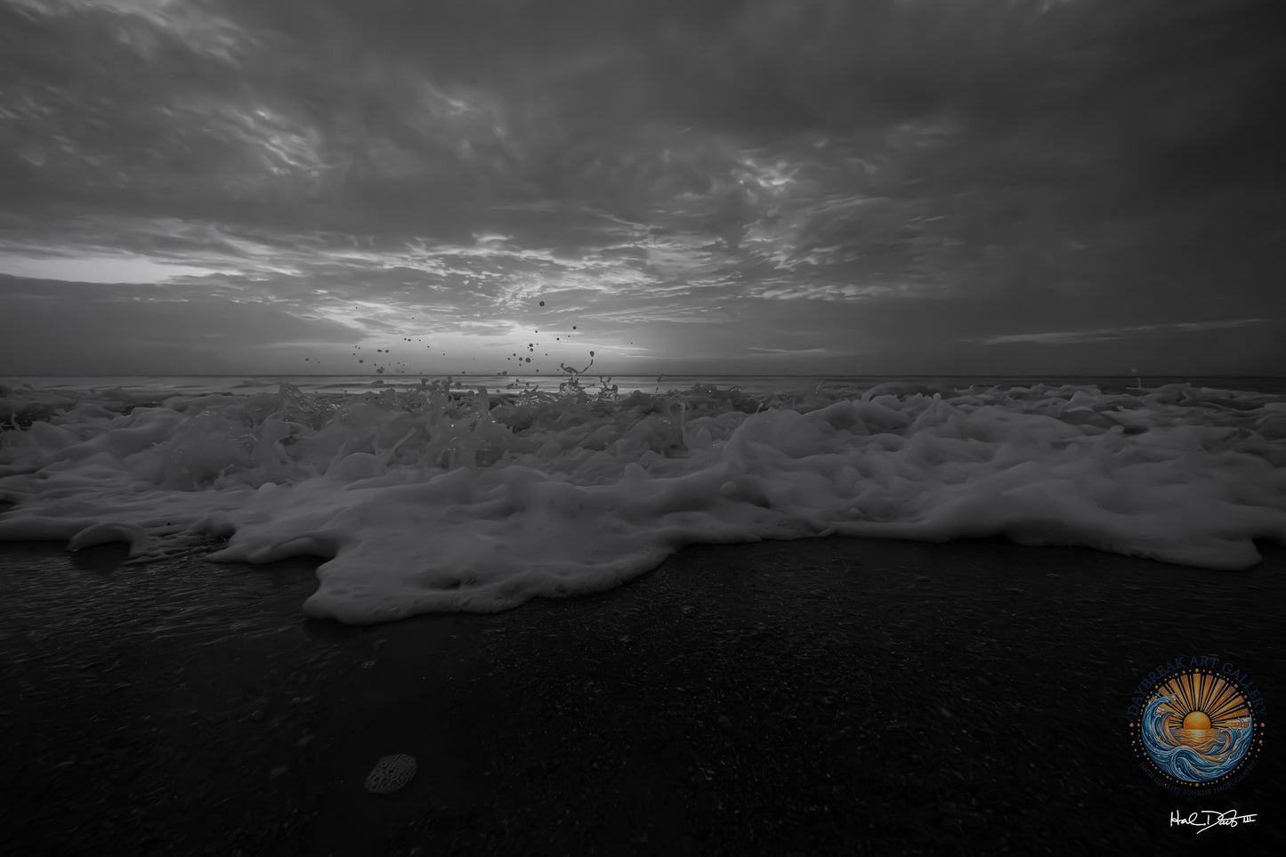 July 14, 2026 | Playalinda Beach, Florida