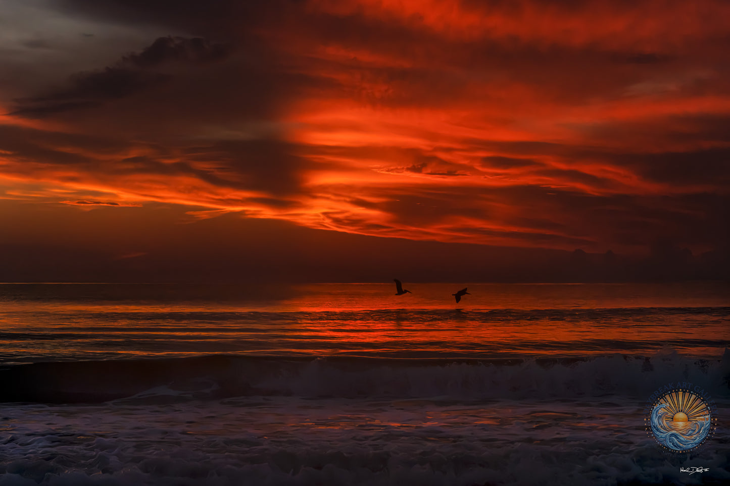 July 17, 2026 | Playalinda Beach, Florida