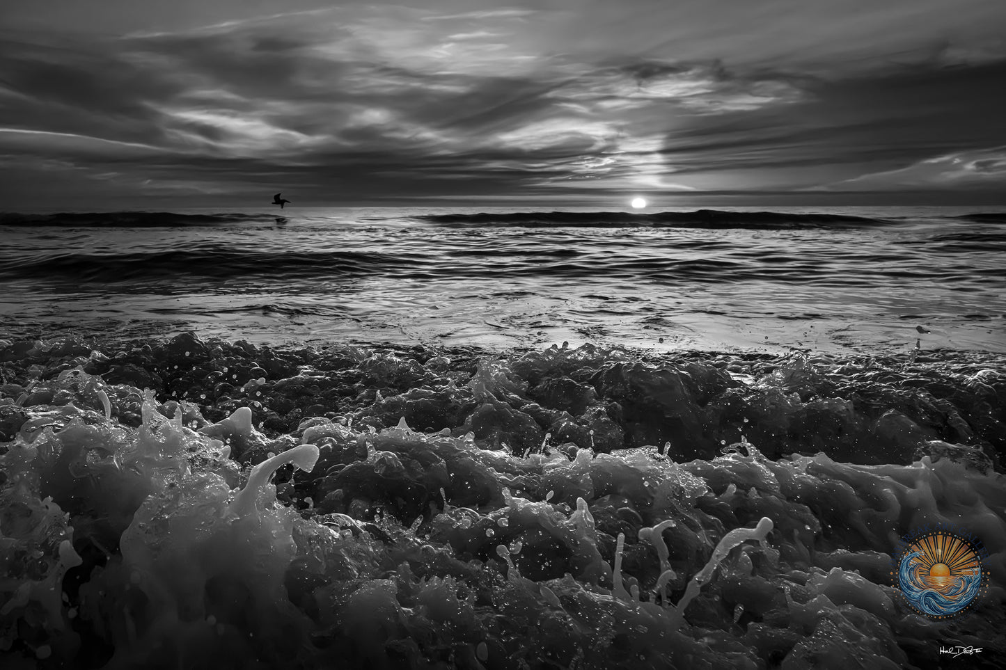 July 18, 2026 | Playalinda Beach, Florida