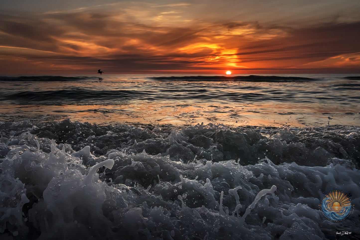 July 18, 2026 | Playalinda Beach, Florida