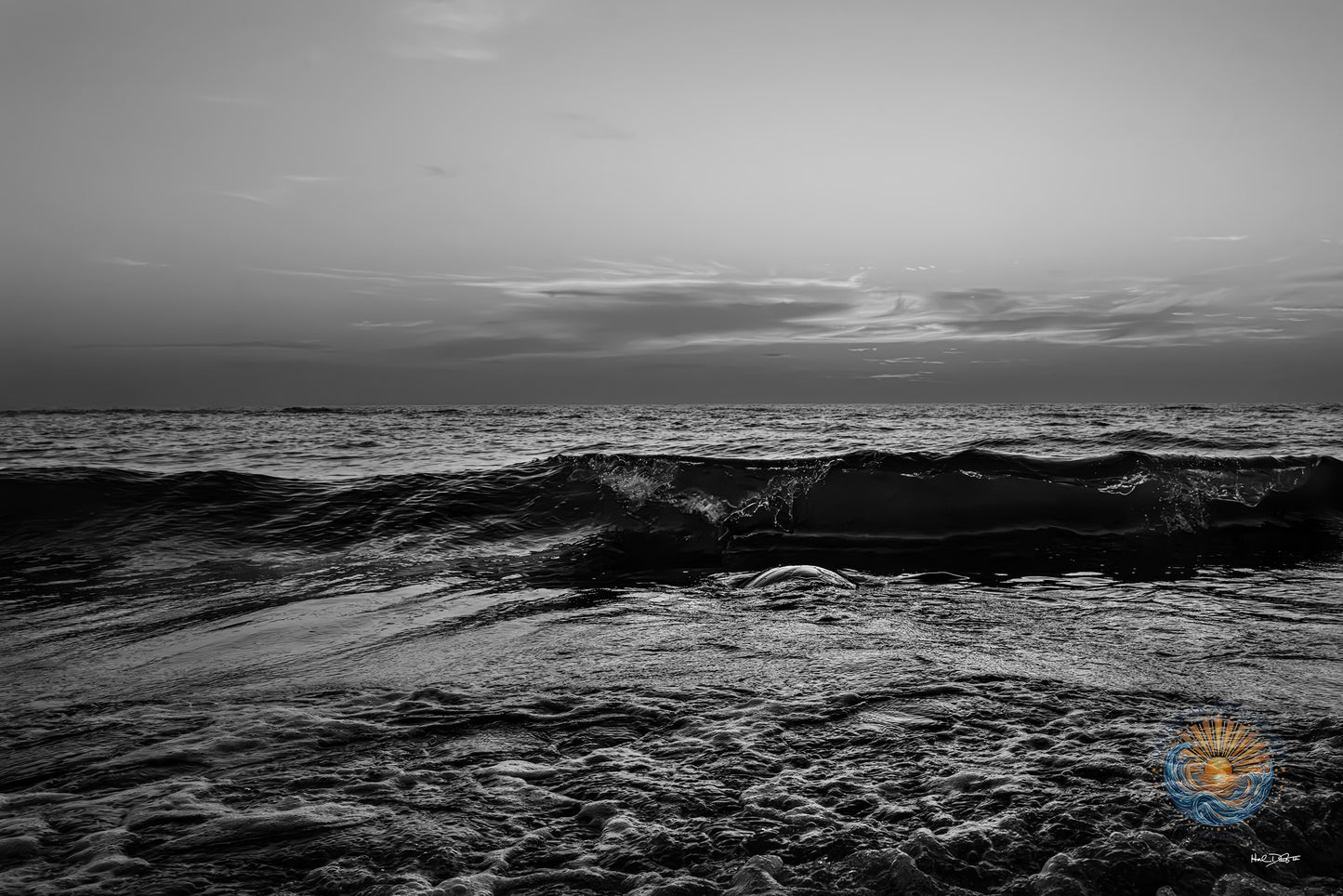 July 19, 2026 | Playalinda Beach, Florida