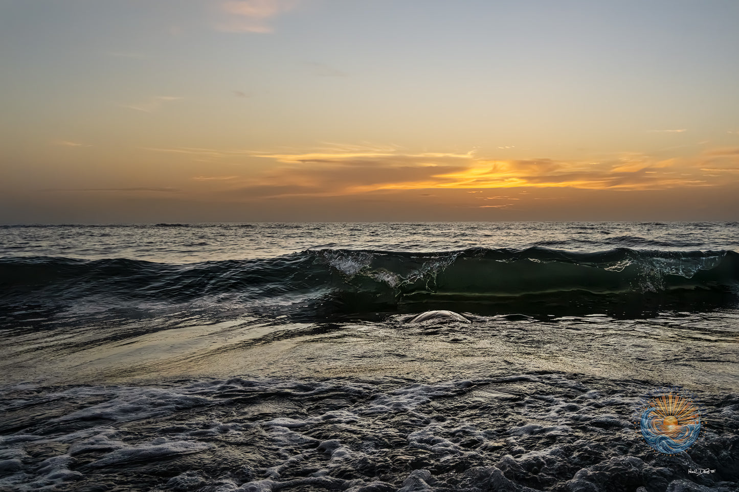 July 19, 2026 | Playalinda Beach, Florida
