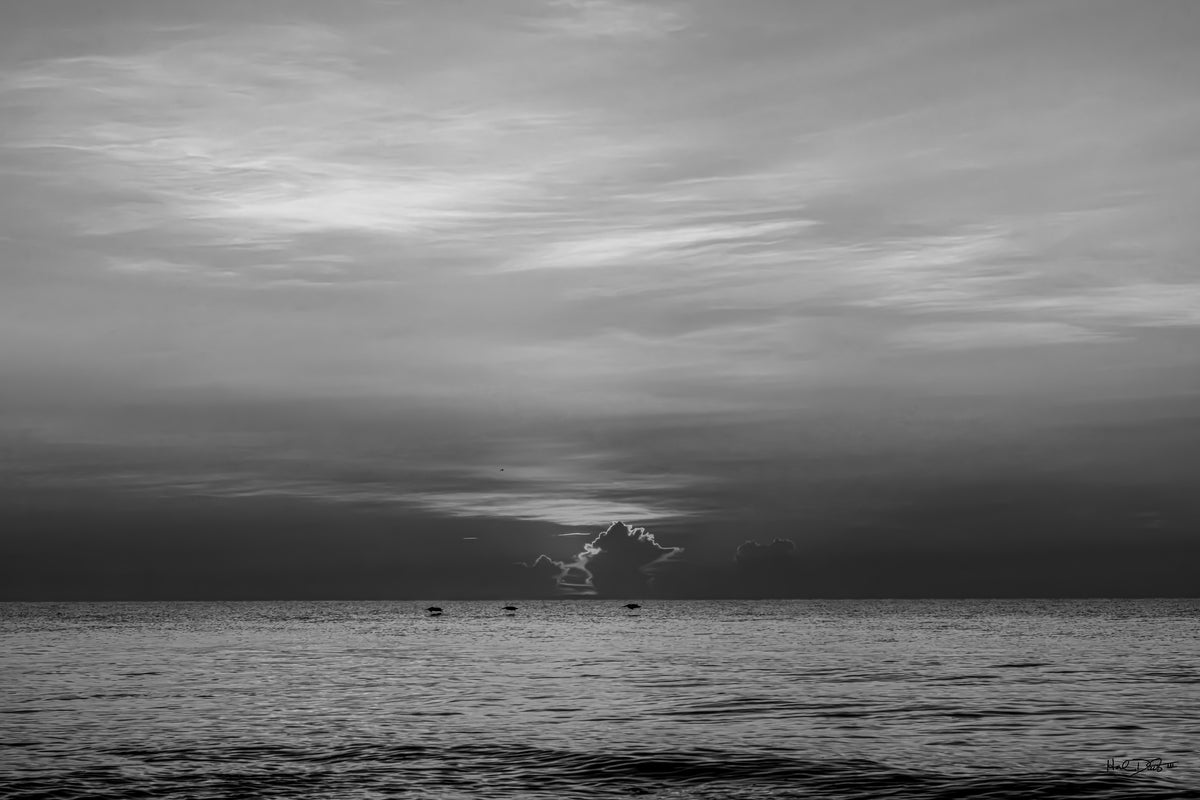 Black and white sunrise over the Atlantic at St. Augustine Beach, Florida, August 15, 2026 — high wispy clouds and three pelicans in flight
