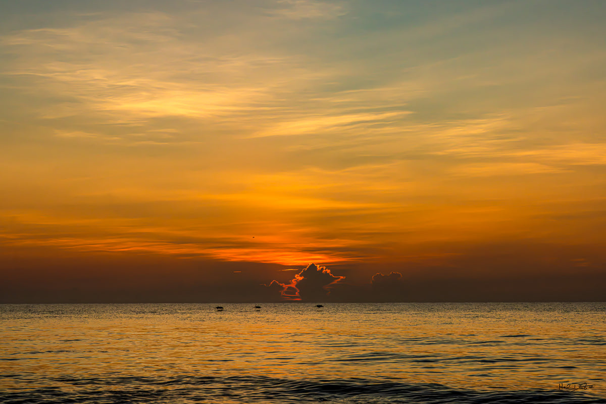 Sunrise over the Atlantic at St. Augustine Beach, Florida, August 15, 2026 — high wispy clouds and three pelicans in flight