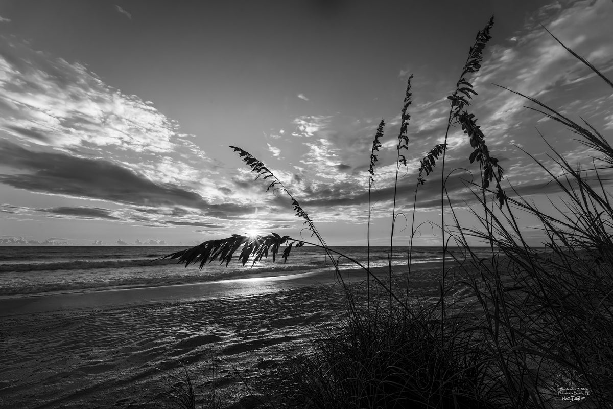 Black and white sunrise over Playalinda Beach, Florida, September 9, 2026 — clouds on the horizon with sea oats in the foreground