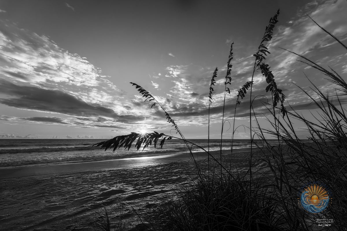 Black and white sunrise over Playalinda Beach, Florida, September 9, 2026 — a sunburst through clouds on the horizon, framed by sea oats