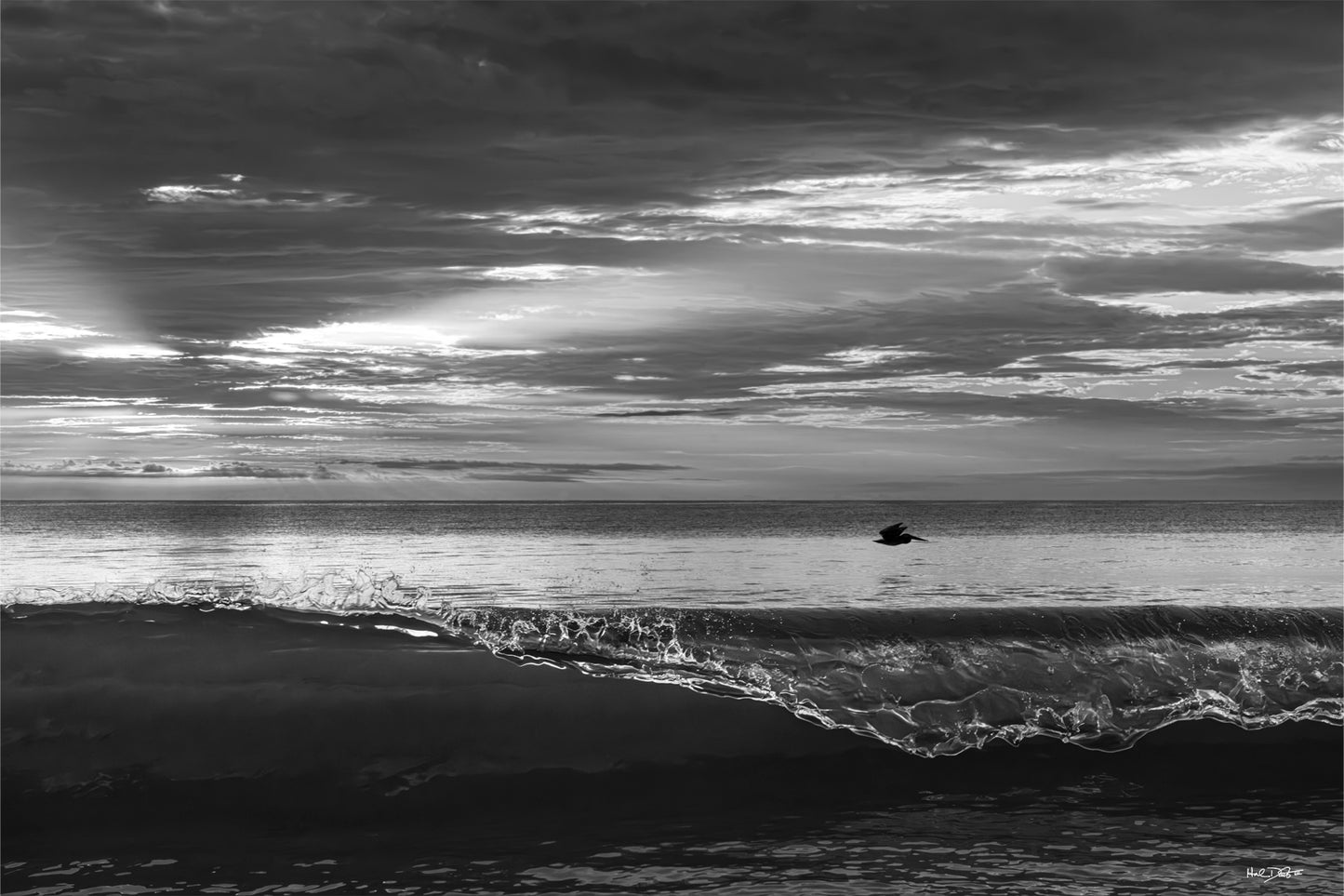 July 13, 2026 | Playalinda Beach, Florida